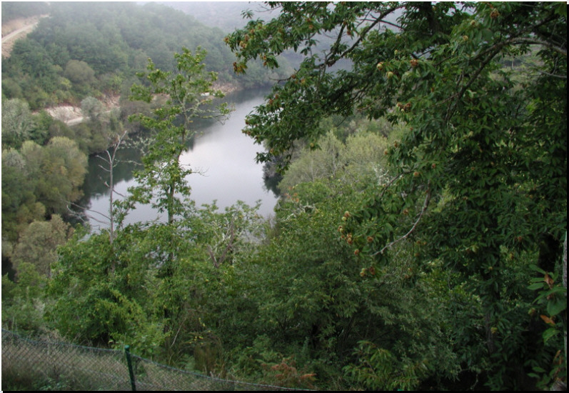 Rio Sil. Vista desde la Casa dos Castiñeiros
